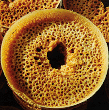 Ghewar - Sweets From Rajasthan - Teej Festival Traditions